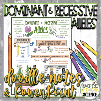 Preview of Dominant and Recessive Alleles Doodle Notes & Quiz + PowerPoint