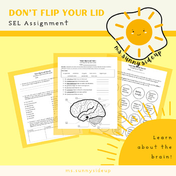 Preview of Don't Flip Your Lid! Lesson Series