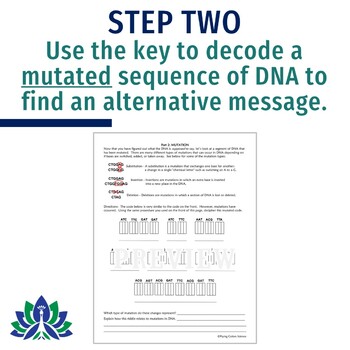 Dna Mutations Activity Worksheet For Middle School Students Ngss Ms Ls3 1