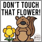 Don't Touch That Flower | Book Study Activities and Craft