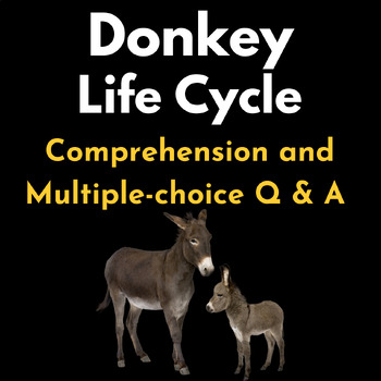Donkey Life Cycle : Reading Comprehension and Multiple-choice Q & A Test