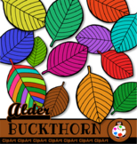 Doodle Alder Buckthorn Leaf Clip Art