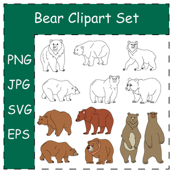 Preview of Doodle Bears Clipart Set. Cartoon Wild Animals Collection. Hand-drawn Bears Set