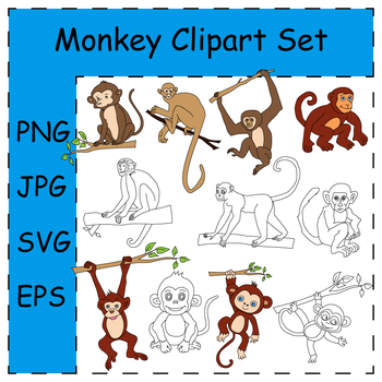 Preview of Doodle Monkey Clipart Collection. Hand-drawn Monkey Clipart Set | Commercial Use