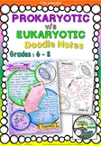 Doodle Notes - Prokaryotic and Eukaryotic Cells