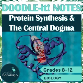 Preview of Protein Synthesis Basics and the Central Dogma Biology Doodle-it! Notes