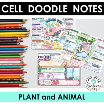 Preview of Doodle Notes for Cells (Plant and Animal)  | Science Doodle Notes