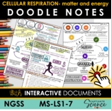 Doodle Notes for MS-LS1-7 Cellular Respiration-matter/energy