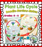 Doodle-Review-Notes “Plant Life Cycle”