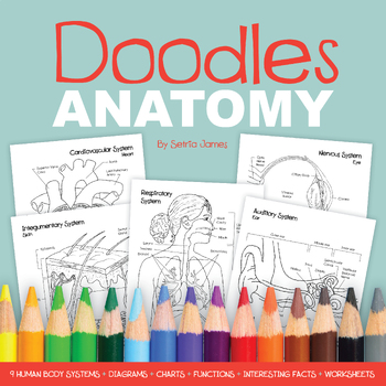 Preview of Doodles Anatomy Science Diagrams | Charts | Worksheets