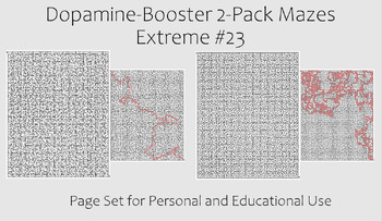 Preview of Dopamine-Booster 2-Pack Maze - EXTREME #23