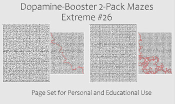 Preview of Dopamine-Booster 2-Pack Maze - EXTREME #26