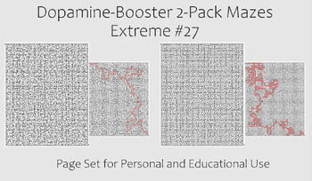 Preview of Dopamine-Booster 2-Pack Maze - EXTREME #27