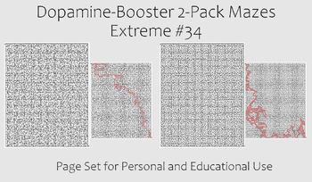 Preview of Dopamine-Booster 2-Pack Maze - EXTREME #34