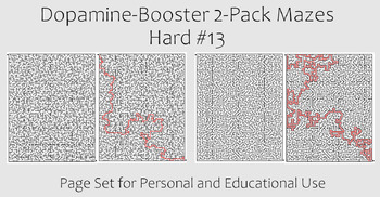 Preview of Dopamine-Booster 2-Pack Maze - Hard #13