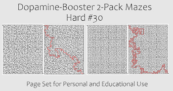 Preview of Dopamine-Booster 2-Pack Maze - Hard #30