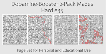 Preview of Dopamine-Booster 2-Pack Maze - Hard #35