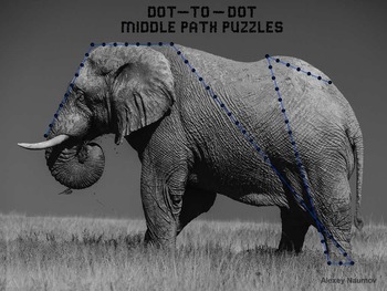 Preview of Dot-to-Dot Middle Path Puzzles