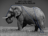 Dot-to-Dot Middle Path Puzzles