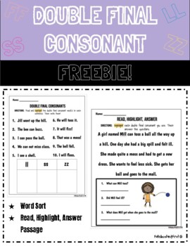 Preview of Double Final Consonant Freebie