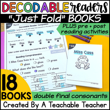 Preview of Double Final Consonants Decodable Readers | Decodable Books for FF, LL, SS, ZZ