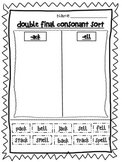 Double Final Consonant Worksheet
