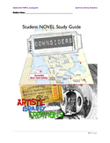 Downsiders, a Novel Study Guide for Students!