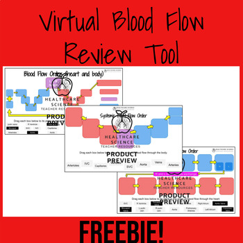 Preview of Drag and Drop Blood Flow Activity/Handouts