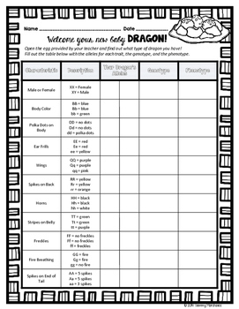 math review for 1 grade worksheets by Genetics The Activity: Dragon Phenotypes Genotypes and