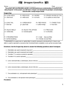 Preview of Dragon Genetics Project | Mendelian Phenotypic & Genotypic Outcome | Modeling