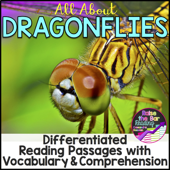 Preview of Insects Activity | Dragonflies Reading Passages, Vocabulary & Comprehension