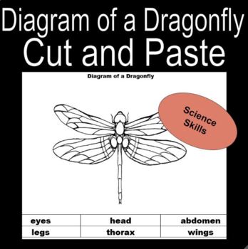 Preview of Dragonfly Diagram