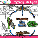 Dragonfly Life Cycle Clipart: Bugs Clip Art, Color PNG, Bl