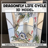 Dragonfly Life Cycle Model - 3D Model