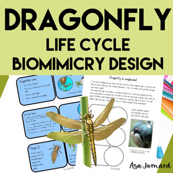 Preview of Dragonfly Project | Life Cycle | Nonfiction | Biomimicry Design Activities