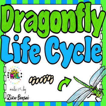 Preview of Dragonfly Life Cycle Pack Flip Book Included 2nd Grade