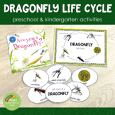 Dragonfly Life Cycle Set - Preschool & Kindergarten  Scien