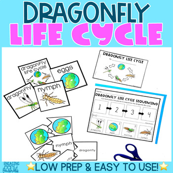 Preview of Dragonfly Life Cycle Word Wall & Activities | Preschool PreK Kindergarten