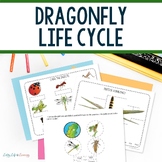 Dragonfly Life Cycle Worksheets