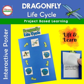 Preview of Dragonfly Life Cycle of an Insect Project