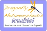 Dragonfly Metamorphosis Freebie Printable