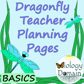 Preview of Dragonfly Themed Teacher Planning Pages Basics