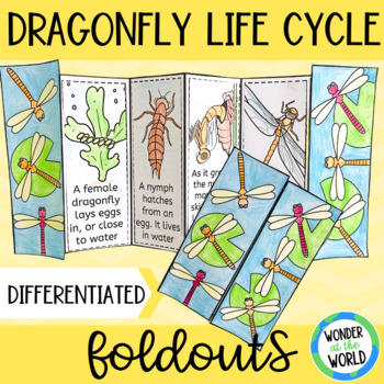 Preview of Dragonfly insect life cycle foldable sequencing activity cut and paste