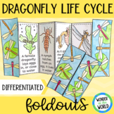 Dragonfly insect life cycle foldable sequencing activity c