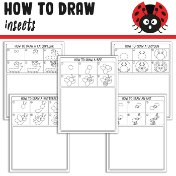 Preview of Draw Insects Easy (Bee, Butterfly, Ant, Caterpillar, Ladybug) + 5 Coloring Pages