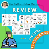 End of the Year Review Picture Flashcards & Draw Something
