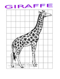 Draw a Giraffe - Animals / Science / Art
