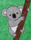 Draw an Easy Koala