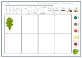 Drawing & Describing Leaves - 5 resources