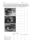 Drawing Eyes: Gridded Eyes for Practicing Drawing Facial Features